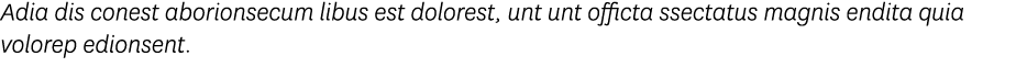 Adia dis conest aborionsecum libus est dolorest, unt unt officta ssectatus magnis endita quia volorep edionsent 