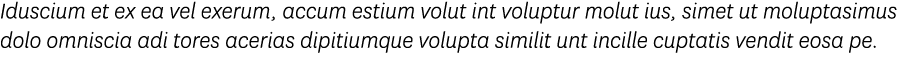 Iduscium et ex ea vel exerum, accum estium volut int voluptur molut ius, simet ut moluptasimus dolo omniscia adi tore   